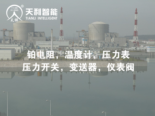 百萬(wàn)千瓦級(jí)核電站軸封型反應(yīng)堆冷卻劑泵聯(lián)合研